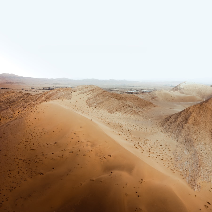 Sahara dunes stretching to the horizon in Algeria